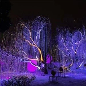 Fiberoptiske led lys